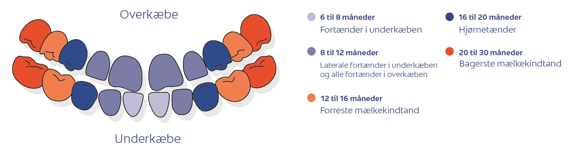 Udfordringer for tandsundheden hos børn