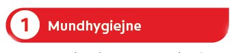 Mundhygiejne
